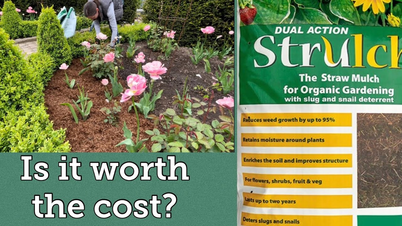 Strulch Mulch - Is it any good?