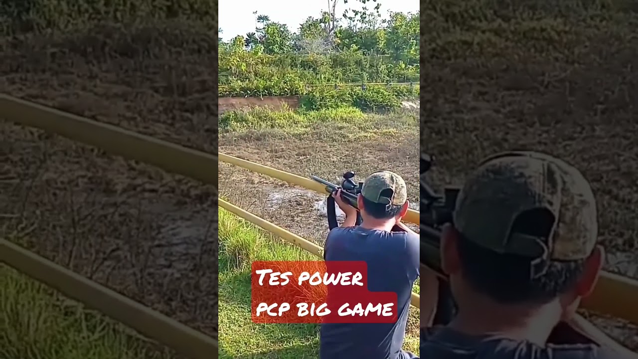 power terbaik PCP jawa#pcpjawa #biggame #papua #berburubabi