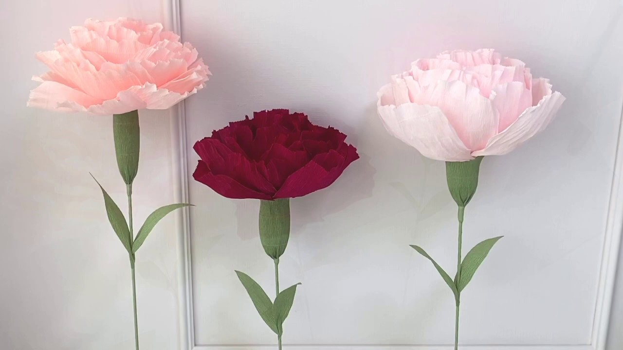 [월간 플라워] 5월 Giant Carnation