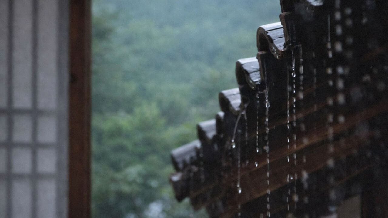 Rain for Sleep | Hanok Roof Rain Drips (8 Hours)