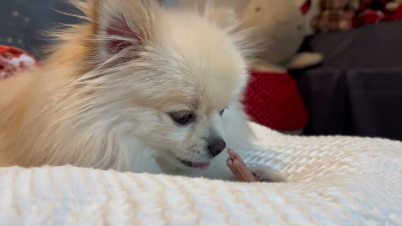 食後の至福