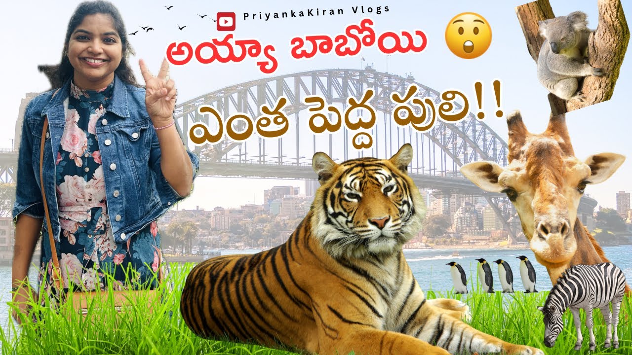 Sydney Taronga Zoo |Day 2| Must visit & Most Scenic Zoo| zoo లో అద్భుతమైన Experience 