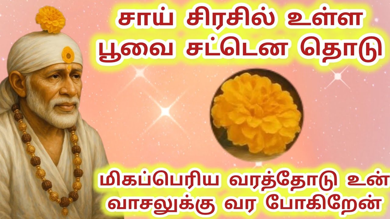 சாய் சிரசில் உள்ள பூவை தொடு மிகப்பெரிய வரத்தோடு உன் வாசல் வர போகிறேன் #sai #saibaba #baba 