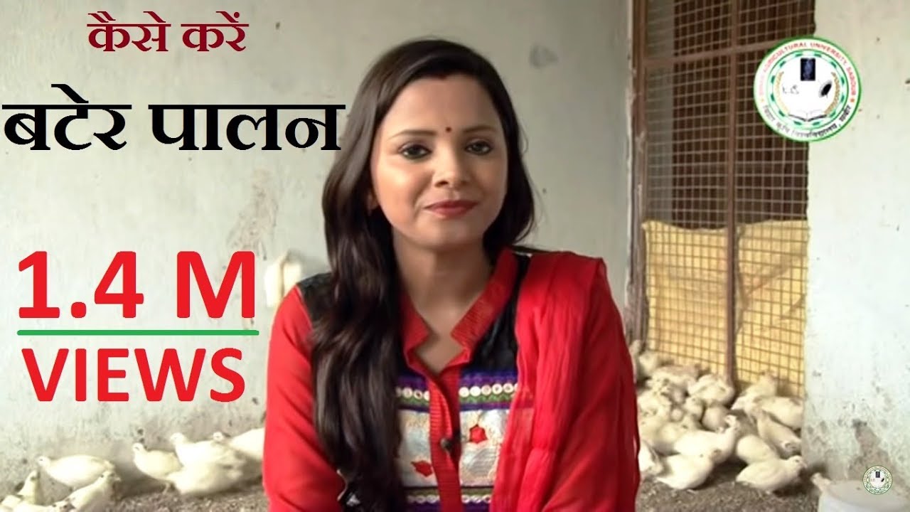 Quail farming  (बटेर पालन)