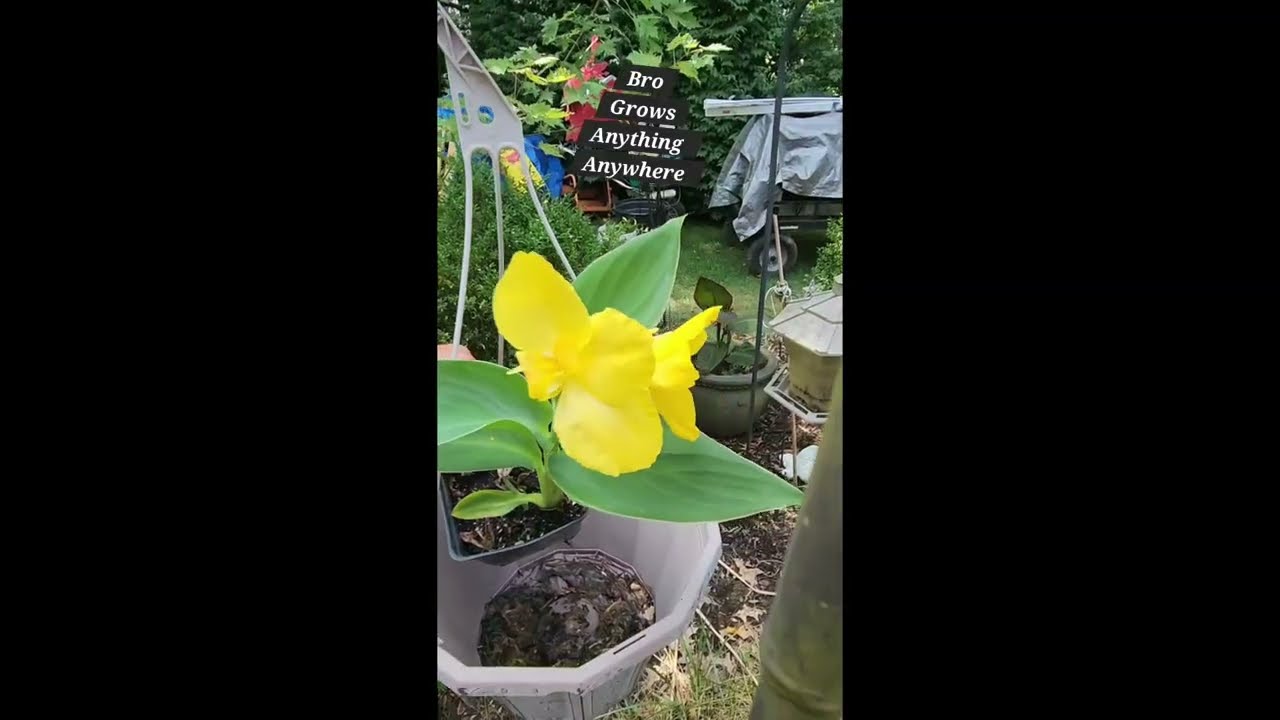 Tell Me My Bro Loves Gardening… Without Telling Me My Bro Loves Gardening