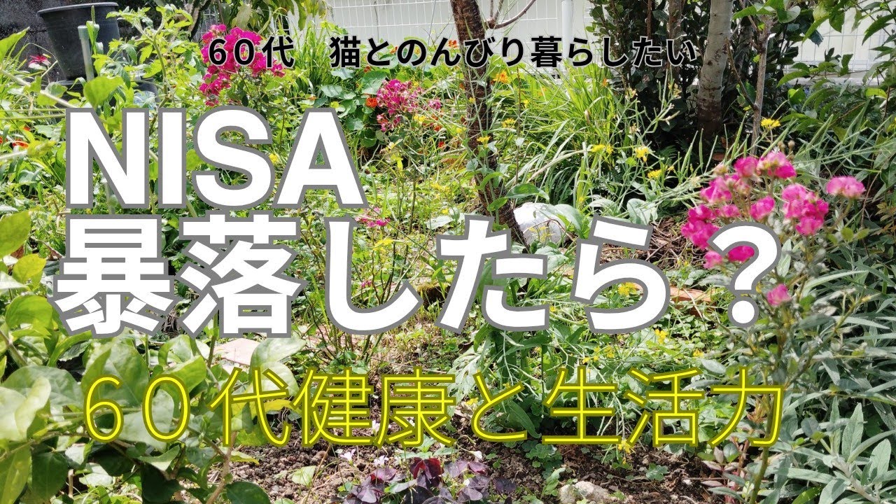 【６０代のリアルなお金と暮らし＃1】暴落したらどうする？６０歳の答え
