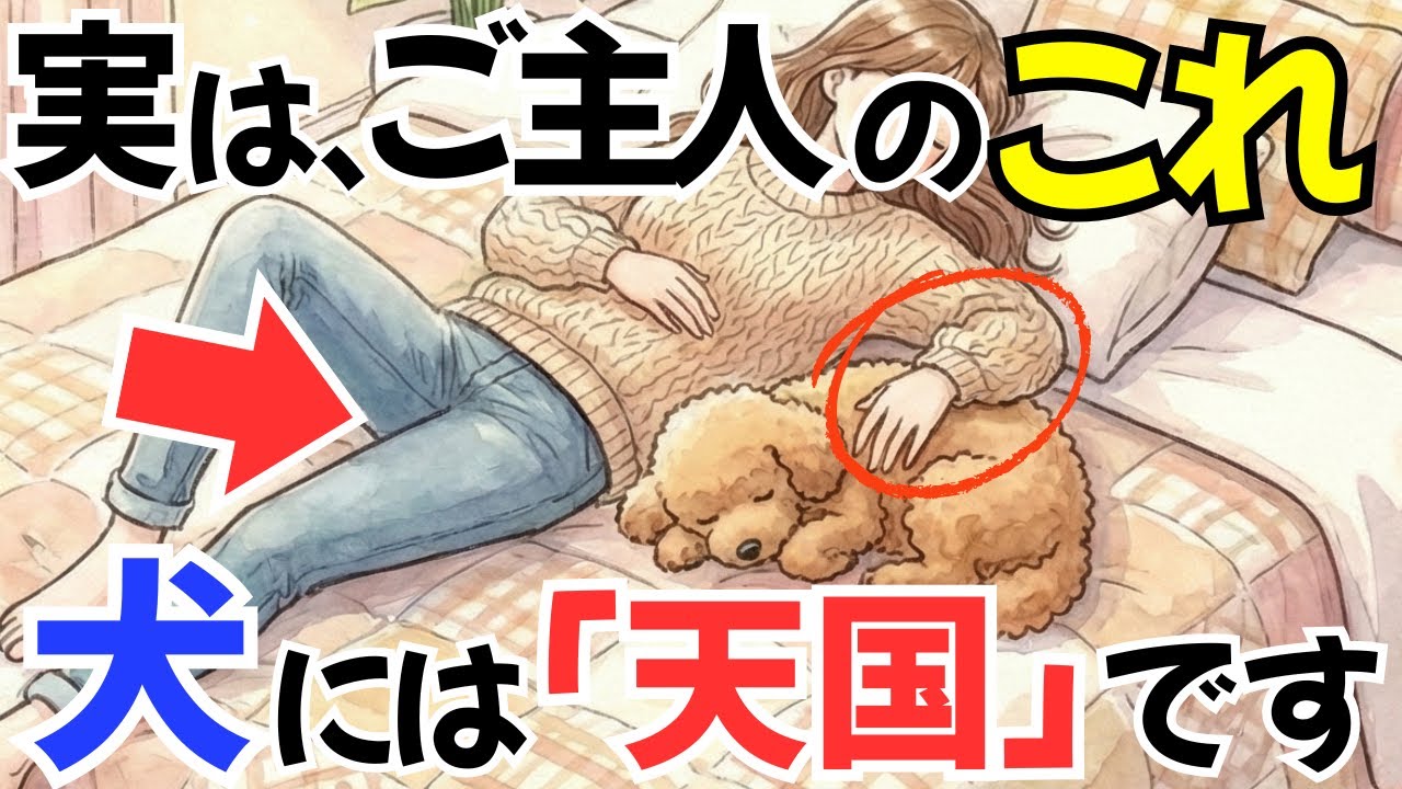 【出来てる??】実は犬が特別なイベントより望んでいる７つのこと｜犬の厳選雑学