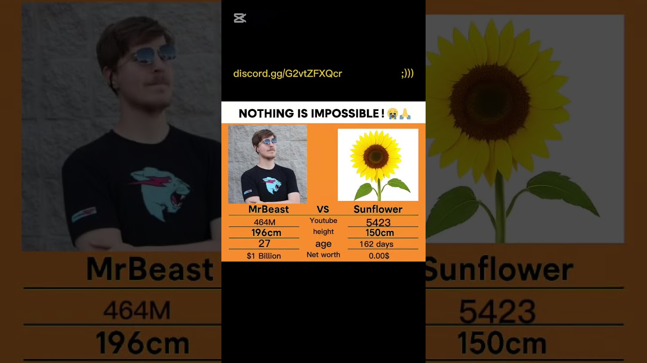 WHO IS #1 RIGHT NOW?! 🏆 (LIVE RACE)