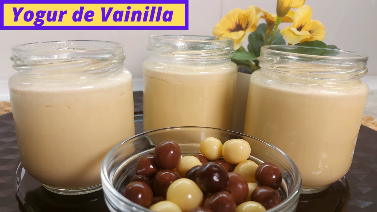 YOGUR DE VAINILLA CASERO en yogurtera