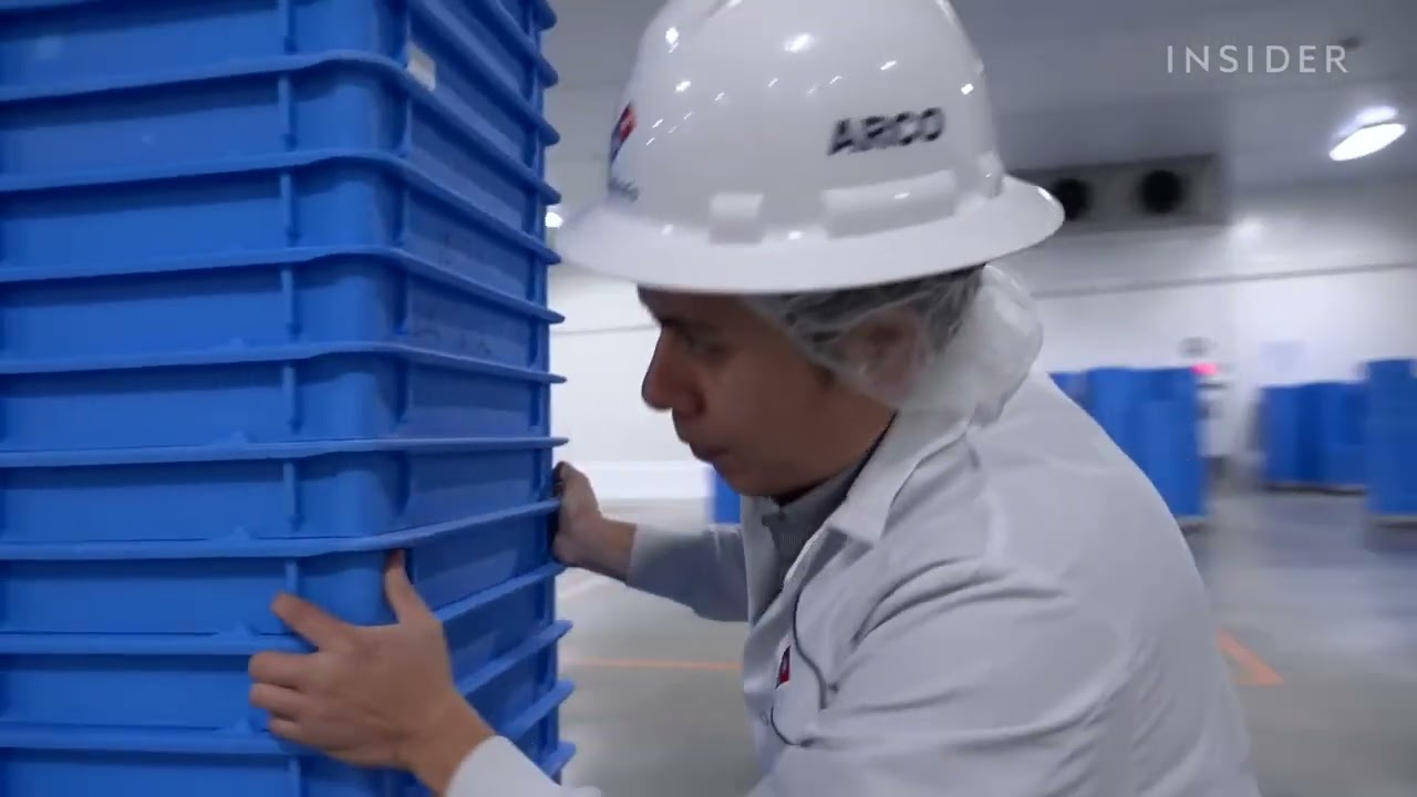 Come Domino's è Diventata La Più Grande Catena Di Pizza Al Mondo | Grandi Affari | Insider
