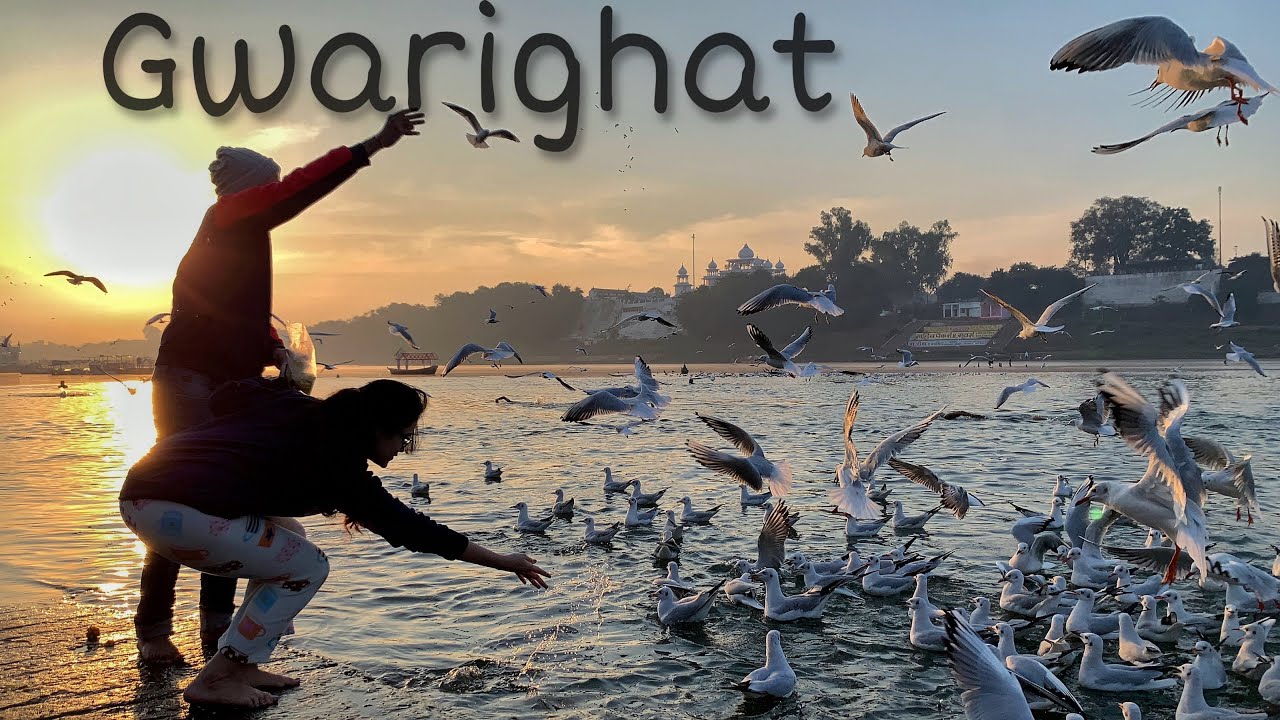 Seagulls bahot smart nikle 😱😂 | Sunrise at Ma Narmada River | Gwarighat Jabalpur | One Flying Soul