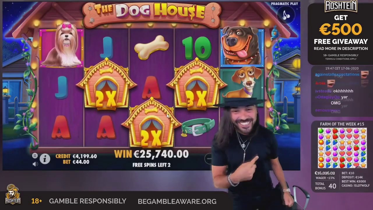 ROHSTEIN Online Casino Slot News⭐️BIG HIT of the week 30.000&euro;⭐️The Dog House (Pragmatic) online Slot