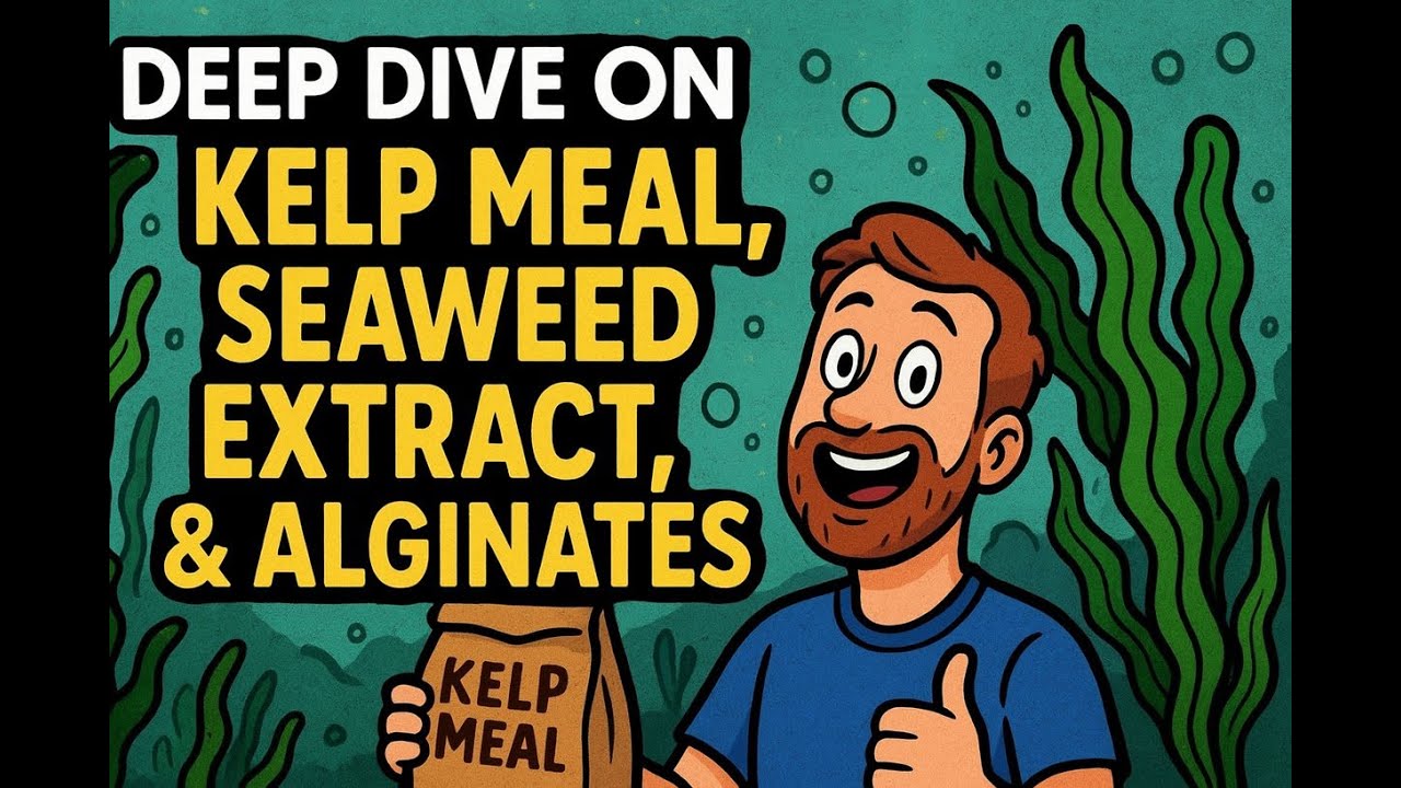 Why Kelp Meal Will Change Your Garden Forever!