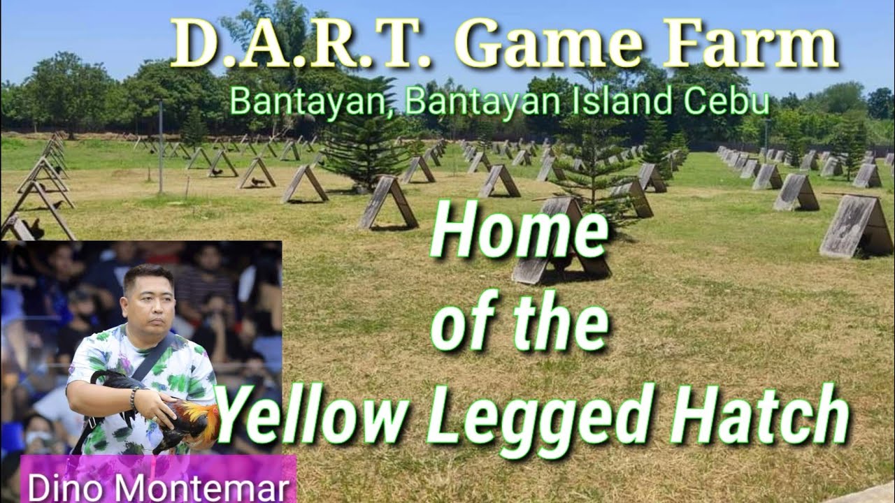EP396 Part 1: Home of the Yellow Legged Hatch/DART Game Farm
