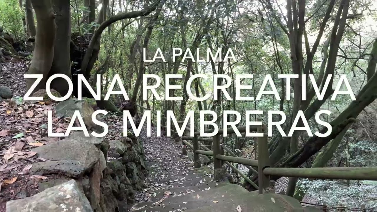 Zona Recreativa Las Mimbreras, La Palma (4K)
