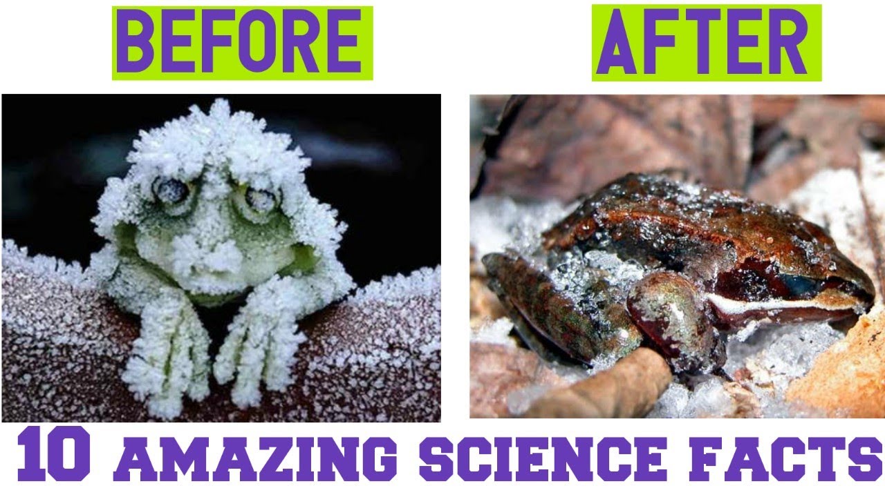 10 Amazing Science Facts you should know | Hindi