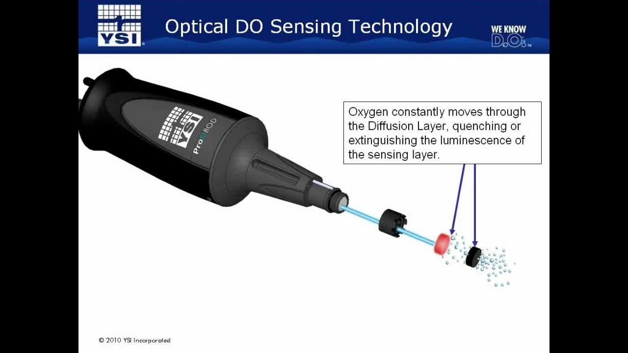 YSI Webinar | Introduction to YSI's Optical BOD Probe