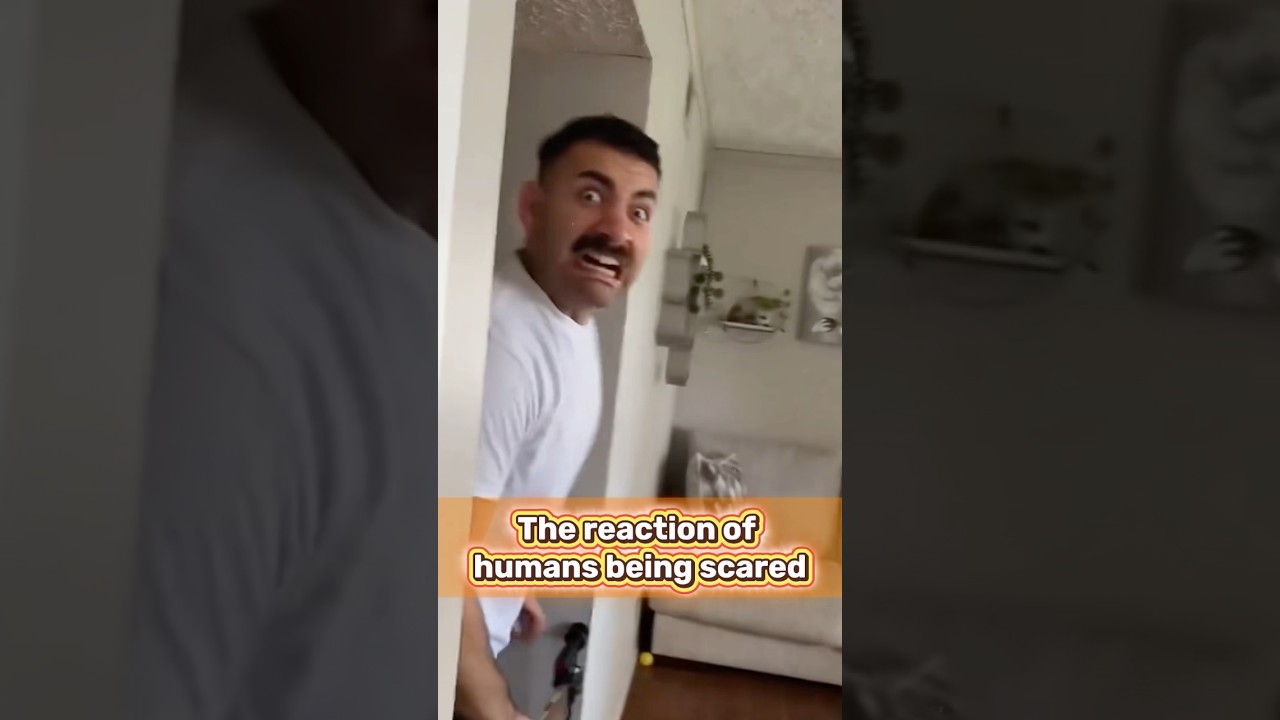 The reaction of humans being scared #funnyhuman #frightened #horrify #scare #scared #fyp