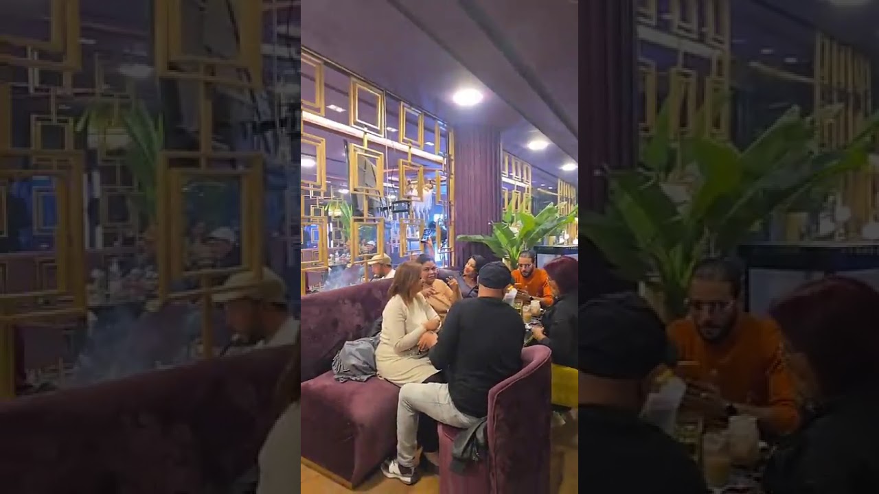 سهرات رمضانية علاء اسكندر 