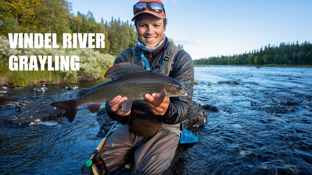 Discovering the nymph fishing for Grayling in Övre Forsen, Vindel River