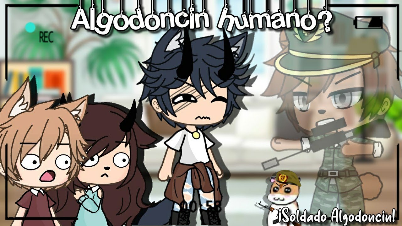¿¡ALGODONCIN HUMANO!? ||  ღ•Kamy-Studio•ღ