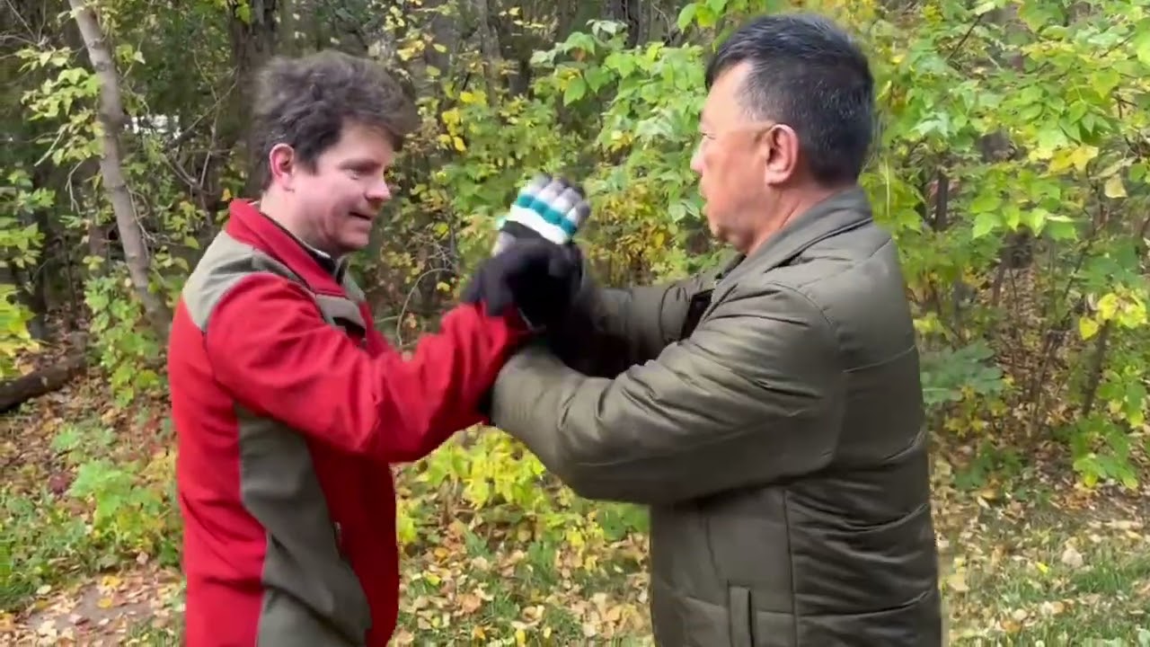ADVANCED PUSH HANDS:  PUSH AND PRESS