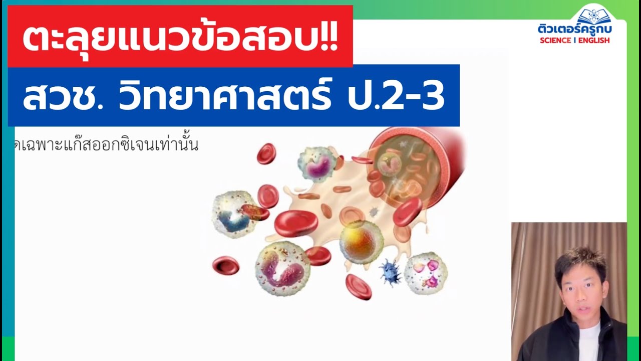 🥇แนวข้อสอบ สวช. ป.2-3 วิชา วิทยาศาสตร์ : เลือด