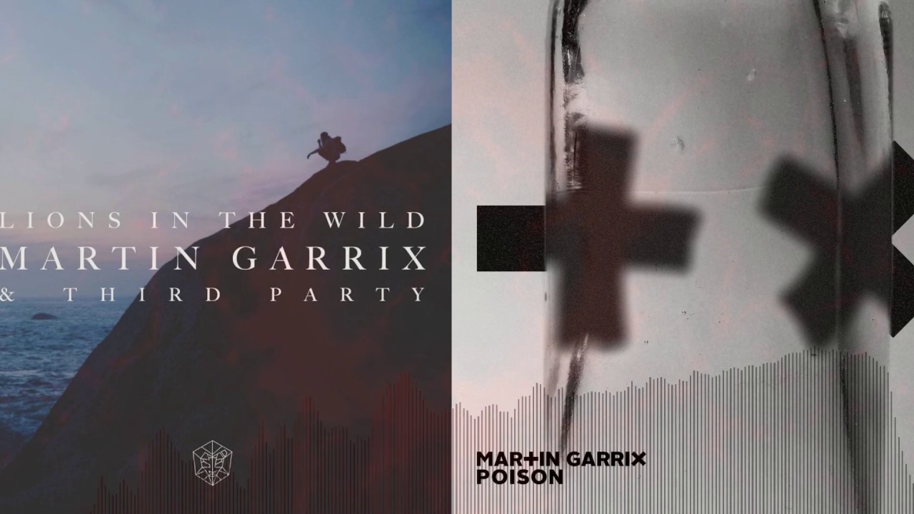 Martin Garrix -Lions in the wild Vs Poison (Mashup)
