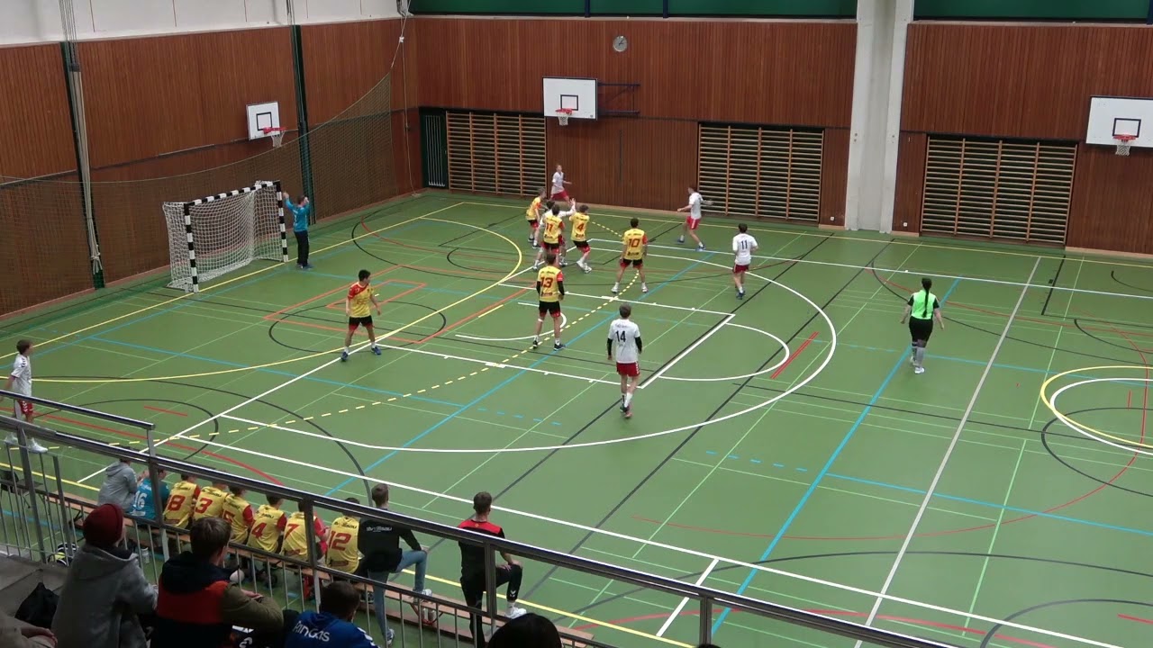 SG Zofingen-Dagmersellen vs. STV Willisau