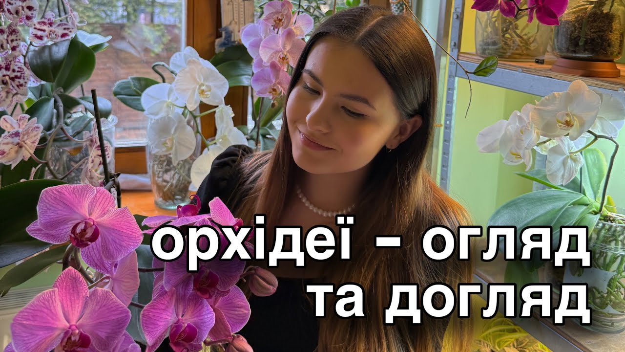 ОРХІДЕЇ - ОГЛЯД КОЛЕКЦІЇ, ДОГЛЯД І ПОЛИВ. ВИРОЩУВАННЯ ОРХІДЕЙ БЕЗ ҐРУНТУ, ВІДКРИТА СИСТЕМА