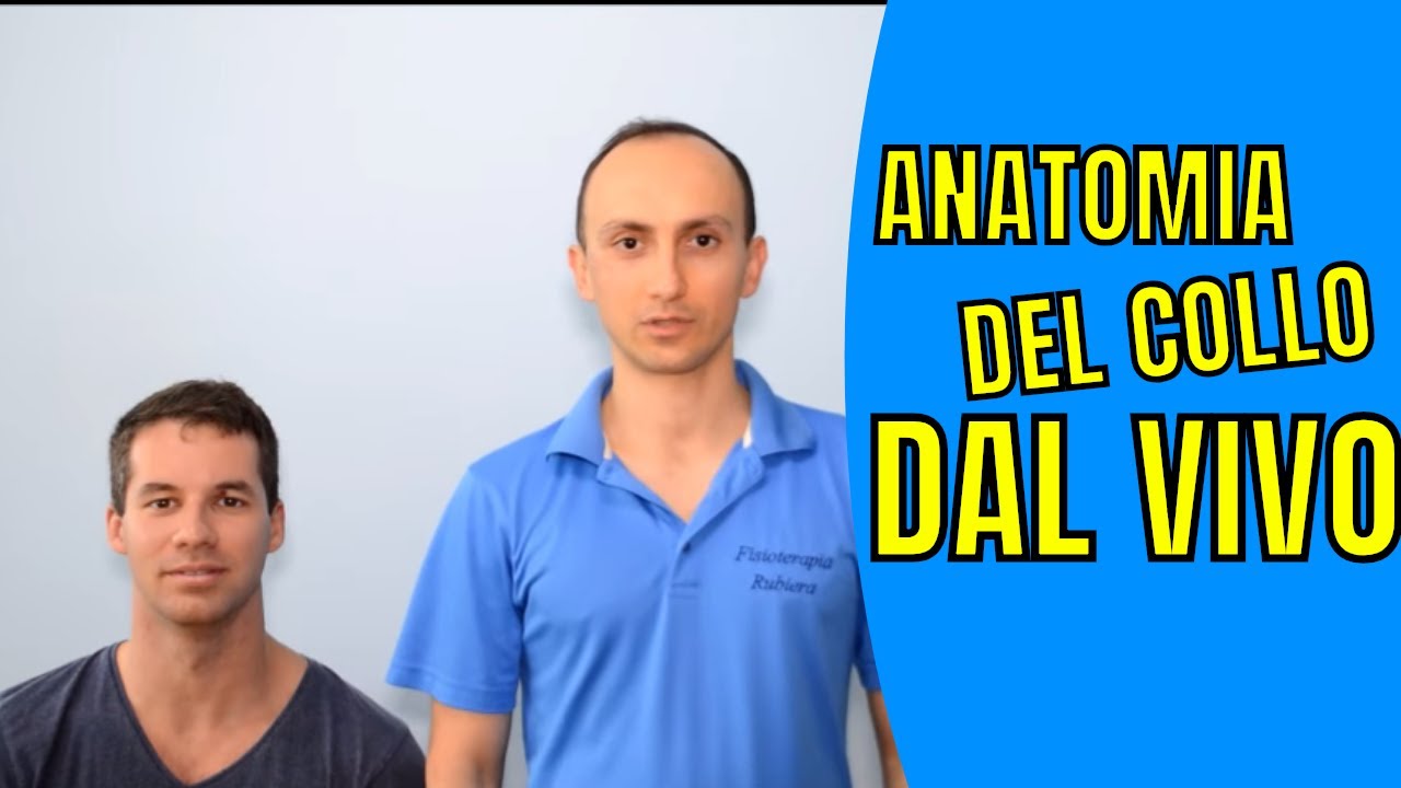 Anatomia Palpatoria Cervicale (Semplice) e Teoria