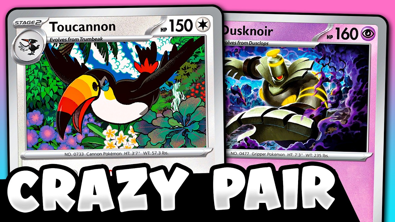 Dawn Charizard RETURNS with Toucannon!