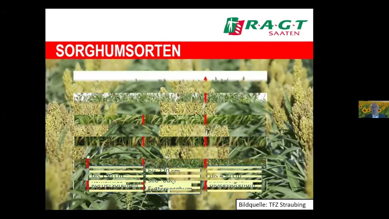 Webinar Sorghumanbau 2022