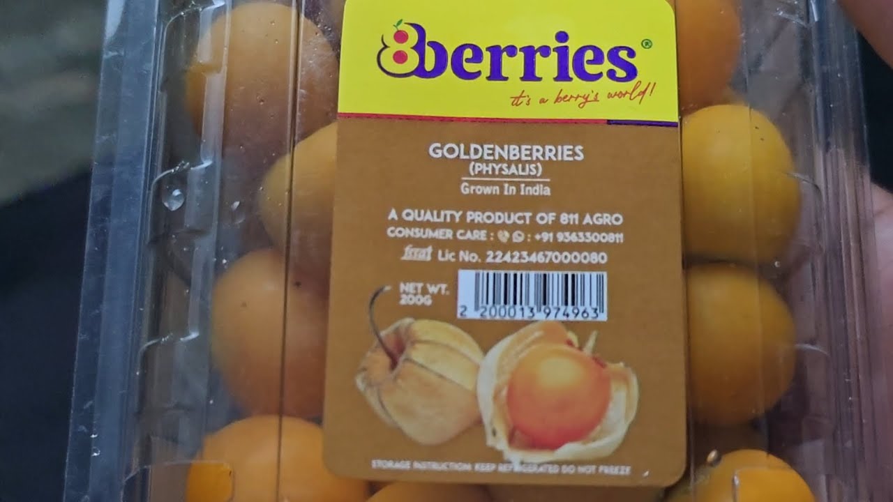 🍊ഞൊട്ടഞൊടിയൻ🍊ഞൊട്ടയ്ക്ക🍊Golden Berries 🍊Cape Gooseberries🍊The Tiny Superfruit with Big Benefits🍊
