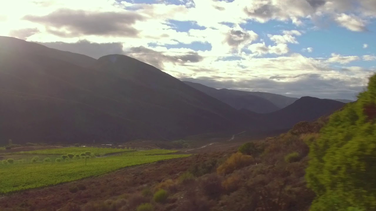 Drone Montagu Wine Farm