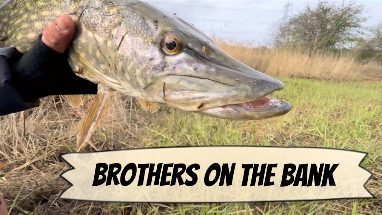 B.O.T.B #06 - Brothers On The Bank 
