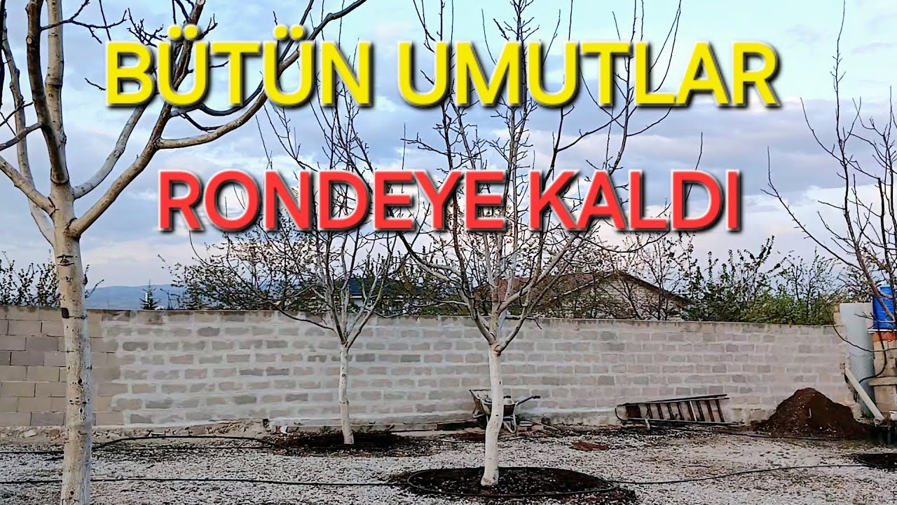 BU SENE BÜTÜN ÜMİTLER RONDEYE KALDI