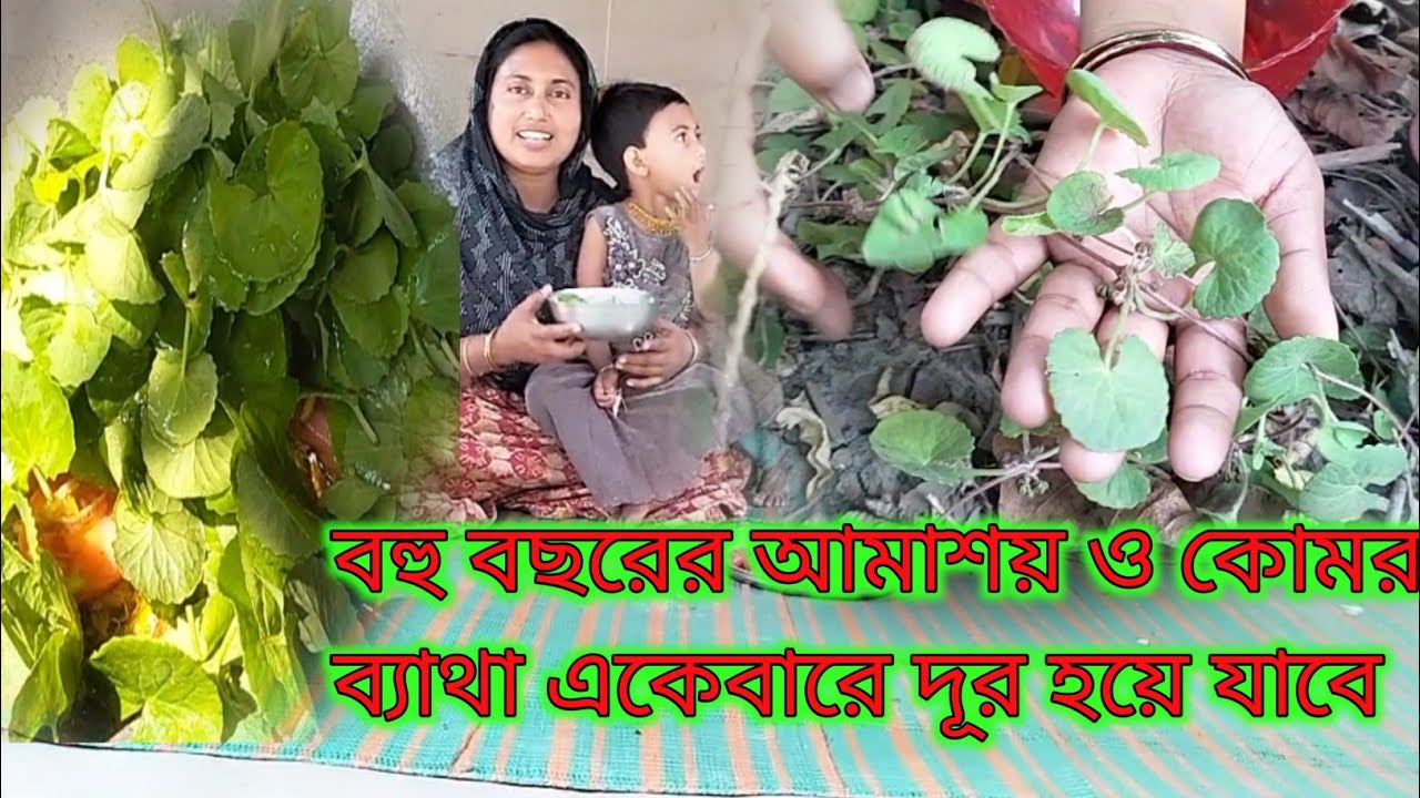 বহু বছরের আমাশয় ভালো হয়ে যাবে দু দিনে  || থানকুনি পাতার রেসিপি || @MaaMeyeRannaghar