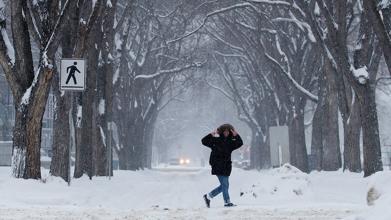 Edmonton weather averages in February