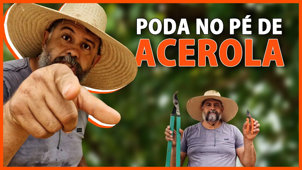 Poda na acerola após a frutificação