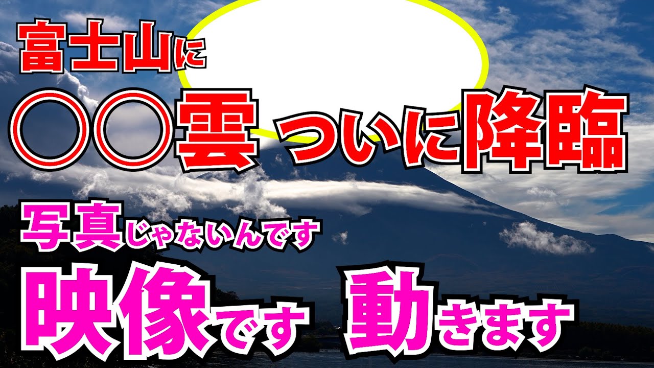 ⚠️超リアル まさか本物？龍神様にご縁を感じる方はご覧ください