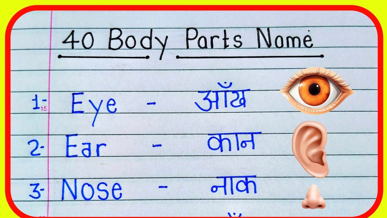 40 Body part name in English and Hindi// शरीर के अंगों के नाम// human body parts name