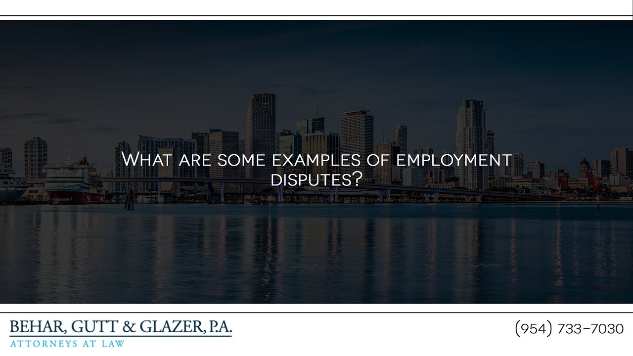 What are some examples of employment disputes?