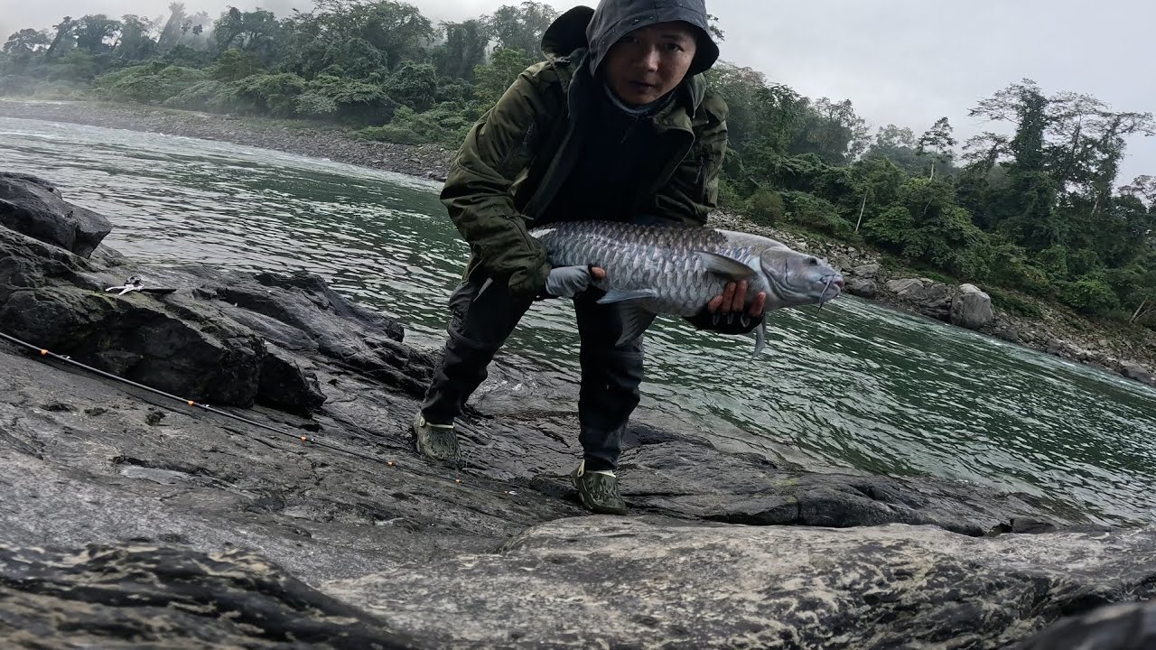 Kameng Mahseer 06-12-2025