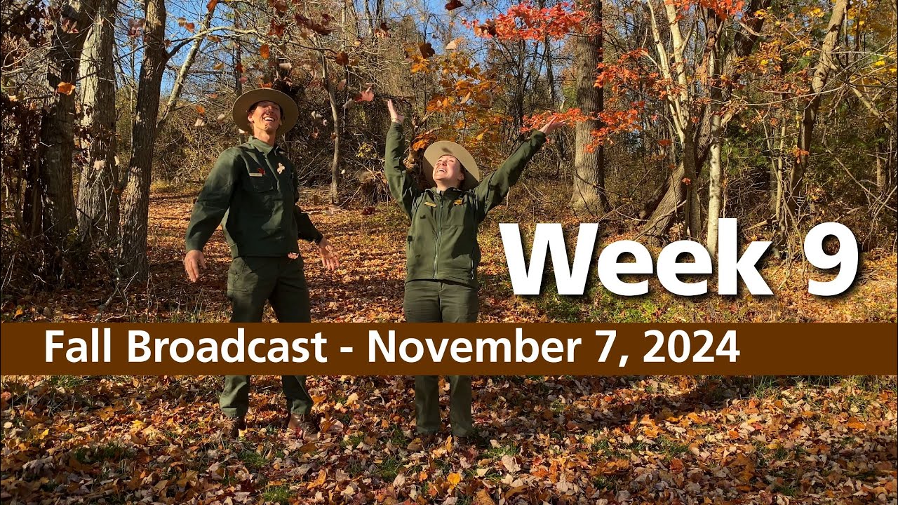 Fall Broadcast - November 7, 2024
