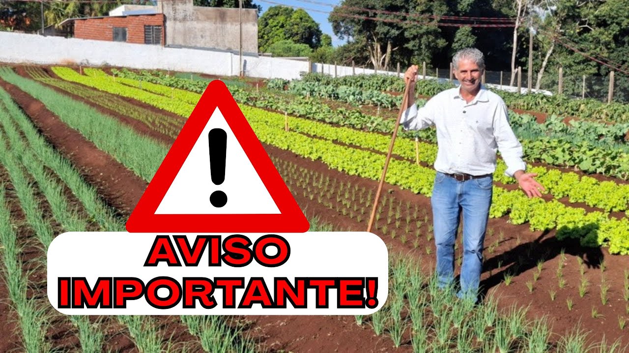 AVISO IMPORTANTE PARA O FUTURO DAS HORTALI&Ccedil;AS!