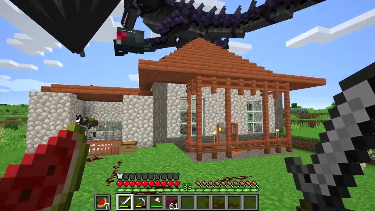Der Nether und 2 neue Drachen | MInecraft Deist 2 #8