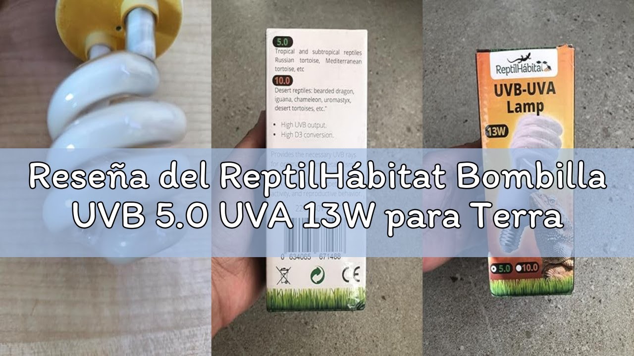 Reseña del ReptilHábitat Bombilla UVB 5.0 UVA 13W para Terrario de reptiles, plantas y tortugas, Lám