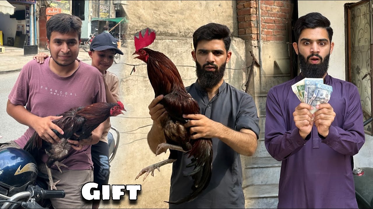 Murgay ka kiya kron ? 🙄🤔