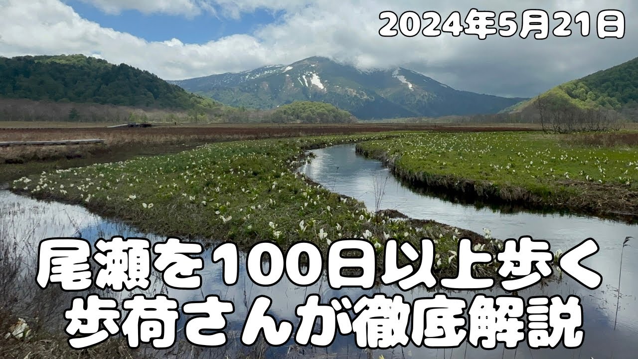 【完全版】尾瀬を100日以上歩く歩荷さんが徹底解説！